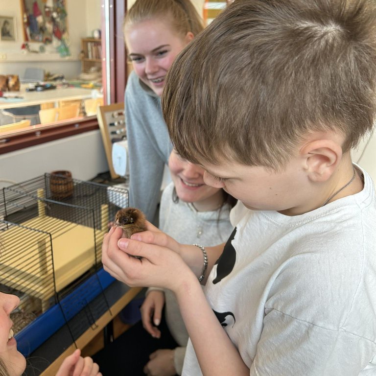 481674086_992920272480970_3235437232342041598_n