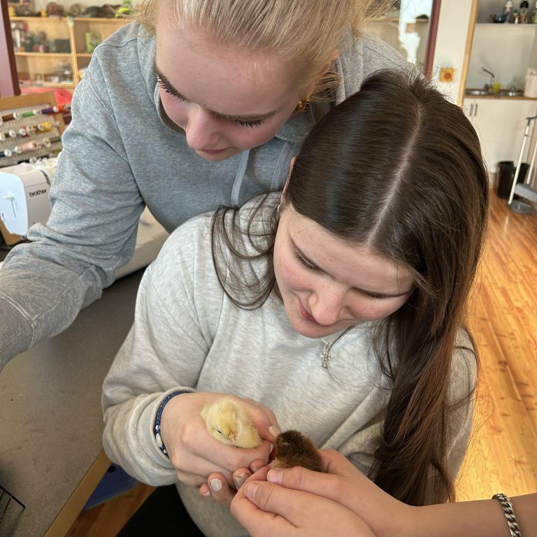 488020409_1289673475468072_5476426645414042933_n