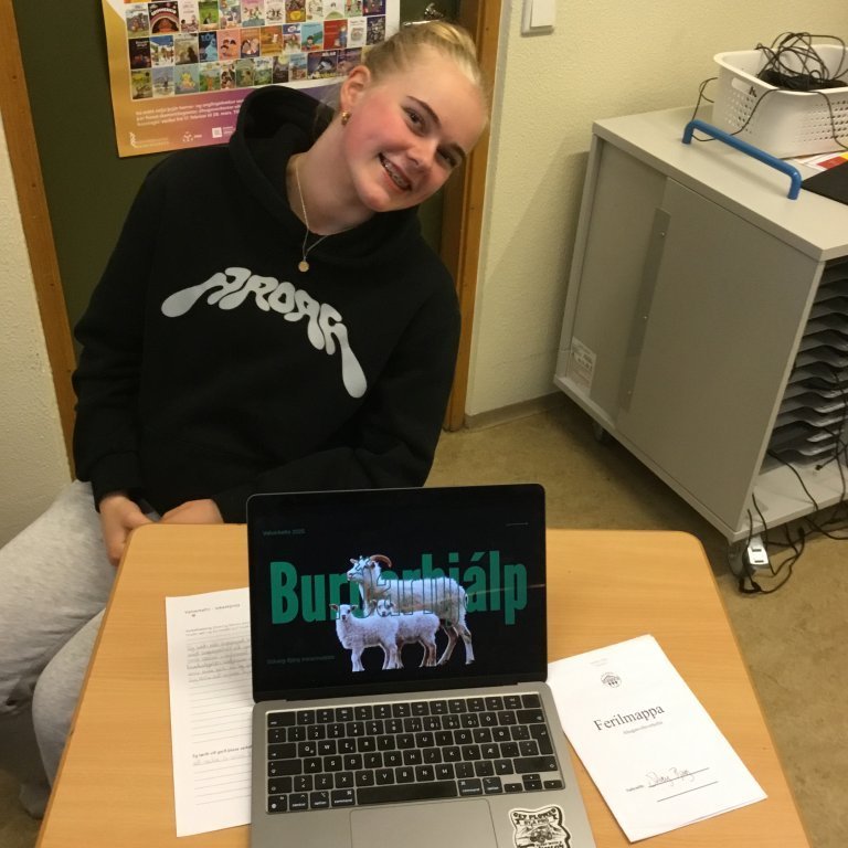 Burðarhjálp fyrir sauðfé