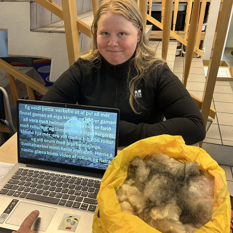 Íslenska sauðkindin