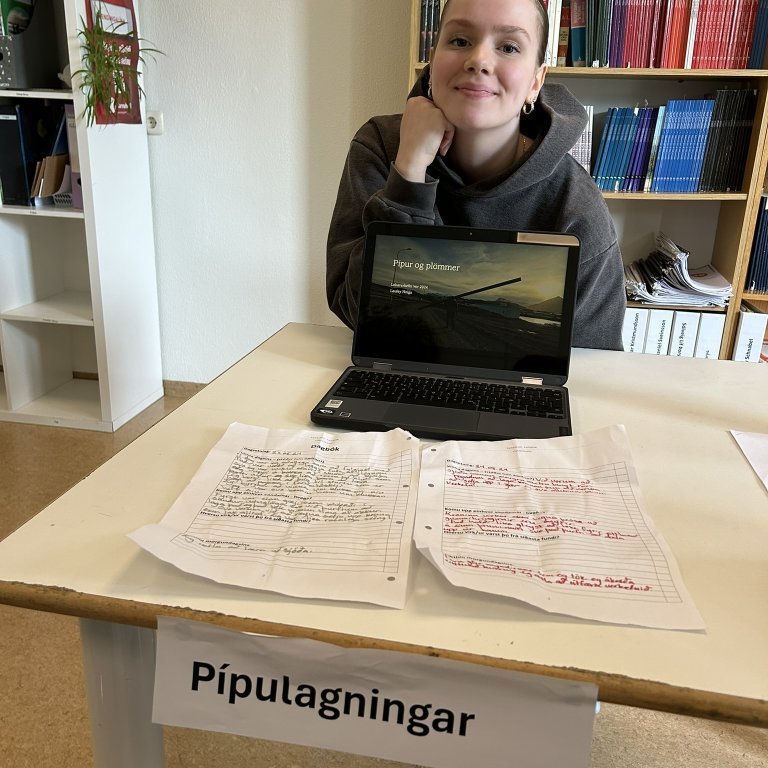 Laufey eyddi degi við pípulagningar