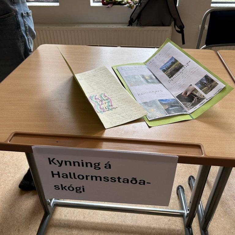 Þórunn og Edda gerðu bækling um Hallormsstaðaskóg.