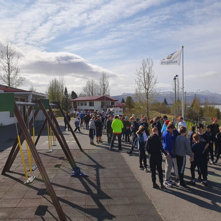 Upphaf Héraðsleika