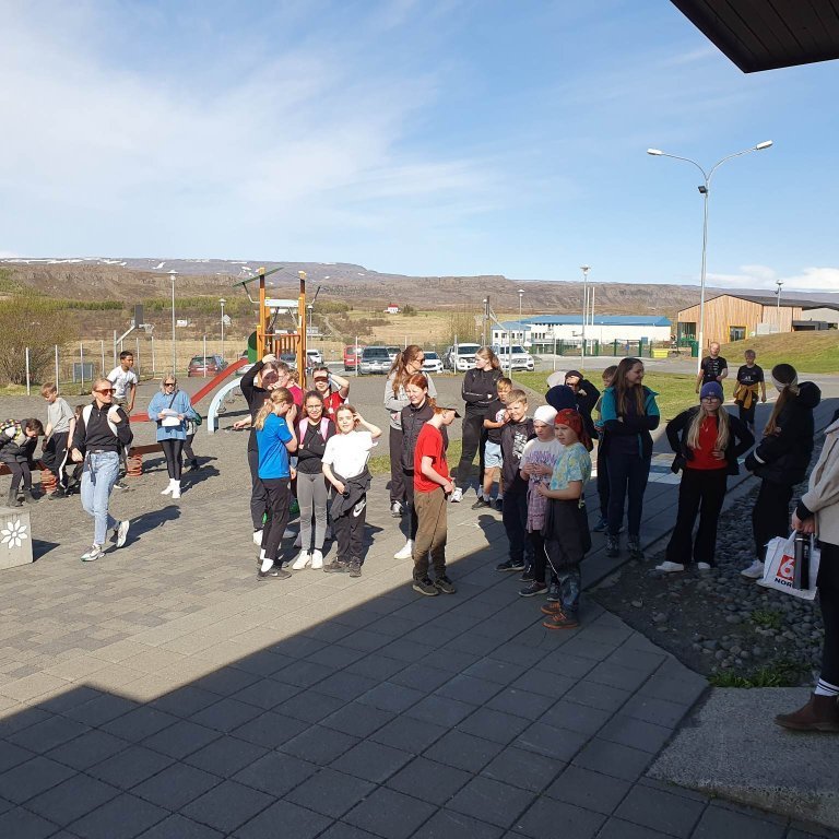 Upphaf Héraðsleika