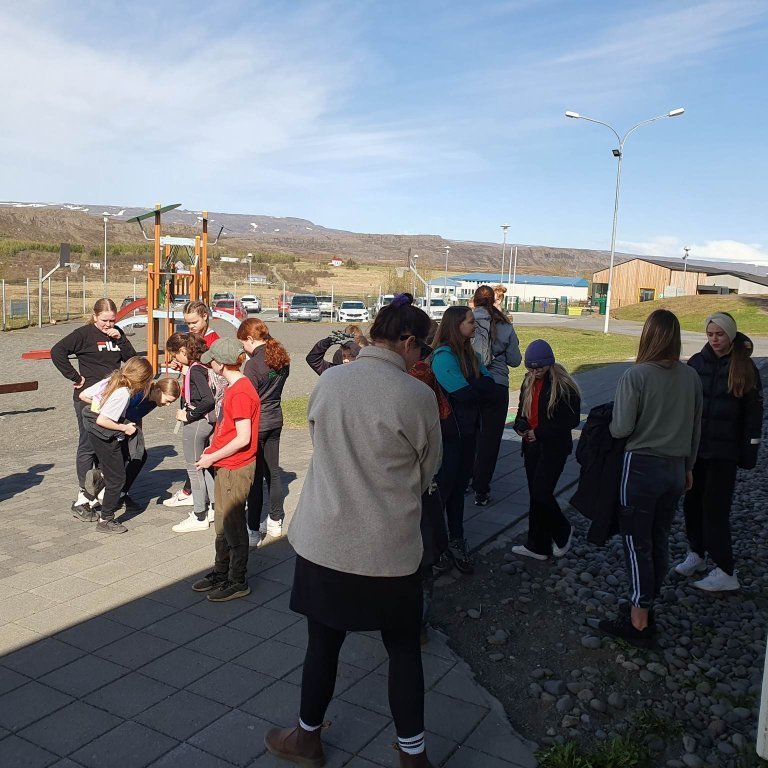 Upphaf Héraðsleika