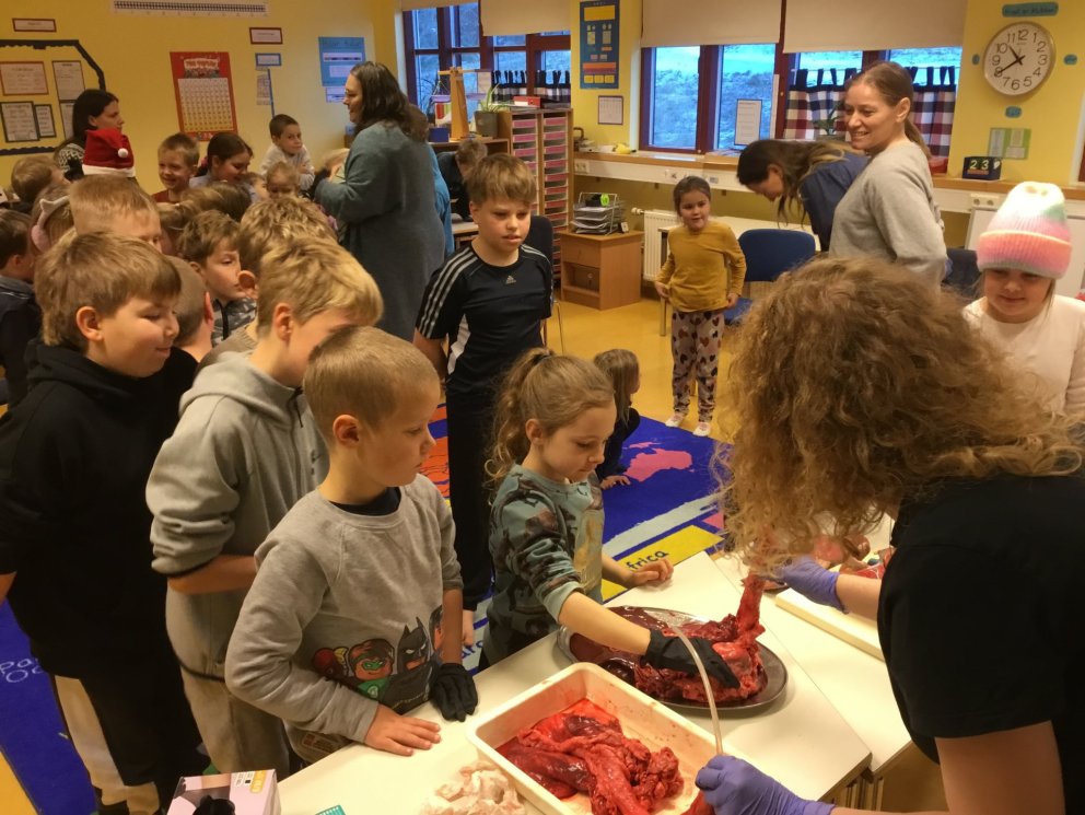 Fréttir af yngsta stigi