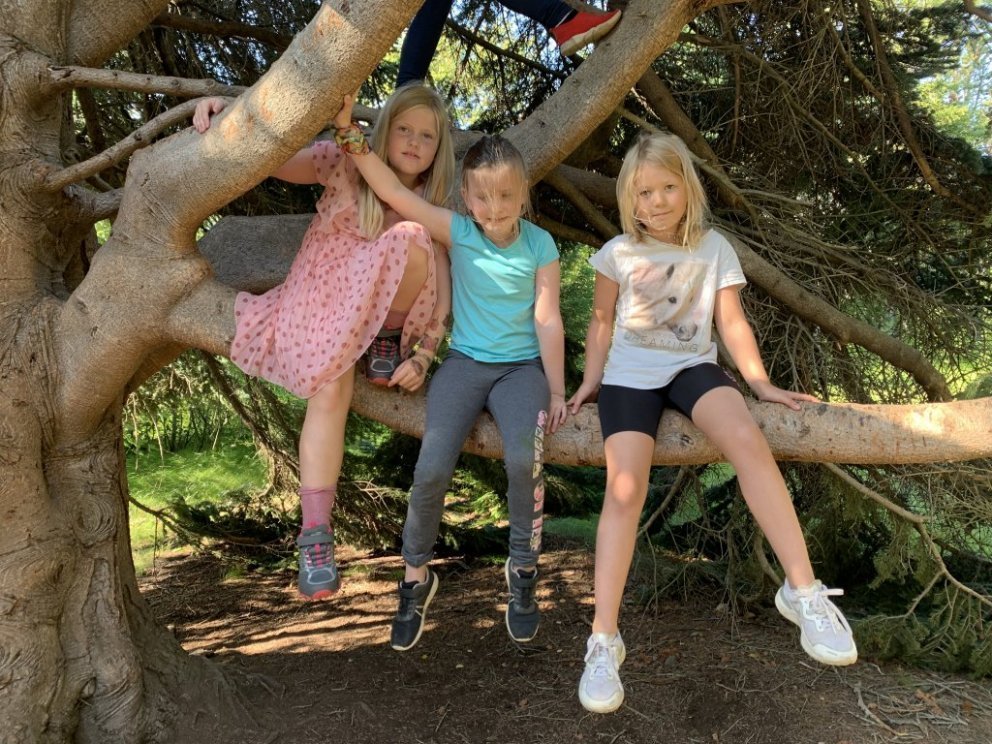 Skólasetning Fellaskóla