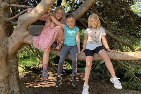 Skólabyrjun haustið 2021