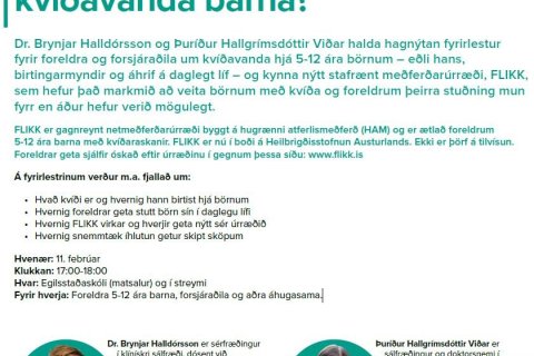 Nýtt meðferðarúrræði við kvíða barna á HSA: FLIKK