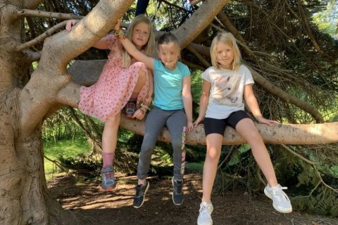 Skólasetning Fellaskóla